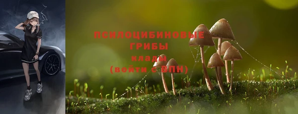 ГАЛЛЮЦИНОГЕННЫЕ ГРИБЫ Алексин
